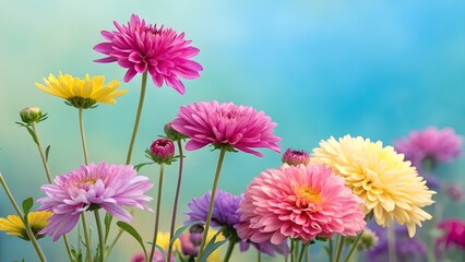 The Serene Lotus Garden:  of Purity Art Prints, Photography, Inspirational Content