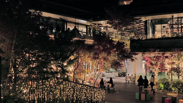Winter in Tokyo : Dazzling Winter City Street Corner Illuminations at Night  |  Harajuku, Tokyo, Japan
