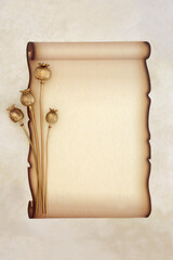 Paper scroll on parchment with gold dried poppy seed heads. Vintage old fashioned faded document blank for love letter, invitation, message.