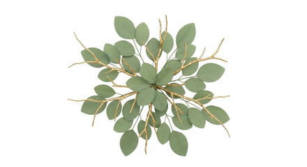 Isolated decorative eucalyptus branch with green leaves and gold stem on light background