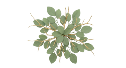 Isolated decorative eucalyptus branch with green leaves and gold stem on light background