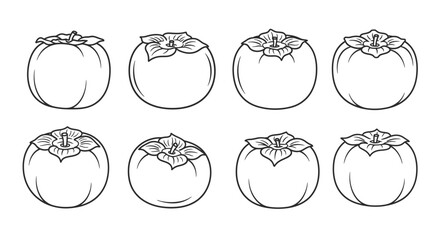 Collection of hand drawn persimmon fruit illustrations on white background