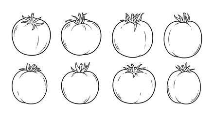 Collection of hand drawn tomato illustrations in sketch style