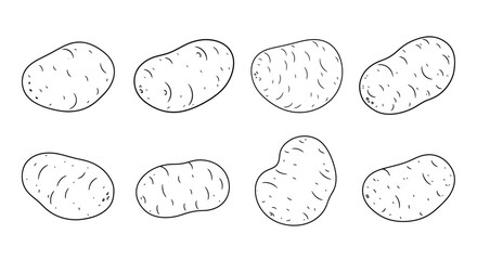 Collection of hand drawn potato illustrations on a white background
