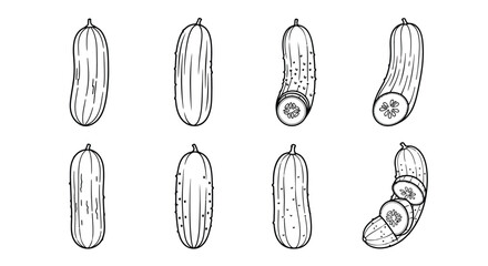 Collection of hand drawn cucumber illustrations in various styles
