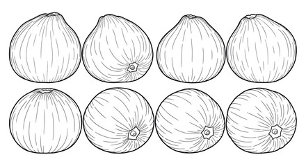 Collection of eight hand drawn avocado illustrations in black and white