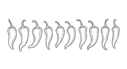 Hand drawn line art illustration of a row of chili peppers