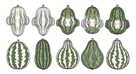 Collection of ten decorative gourds with striped patterns in rows