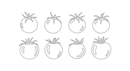 Set of eight hand drawn tomato illustrations in black and white sketch style