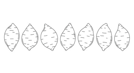 Row of hand drawn sweet potatoes isolated on white background