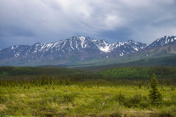 Fototapeta premium Mountains and trees by Tok