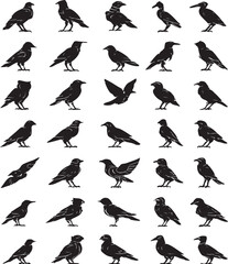 Fototapeta premium various robotic futuristic birds vector design silhouette style on white background