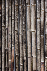 Unclean bamboo fence with mold