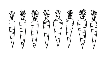Row of hand drawn carrots with green tops in black and white sketch style