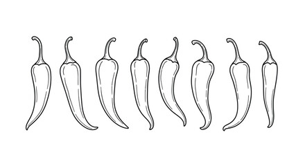 Hand drawn sketch of multiple chili peppers in a row