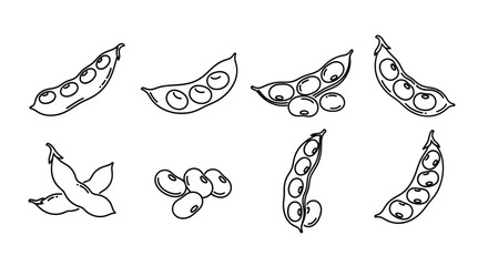 Hand drawn sketch of edamame pods and beans on a white background © iconworld