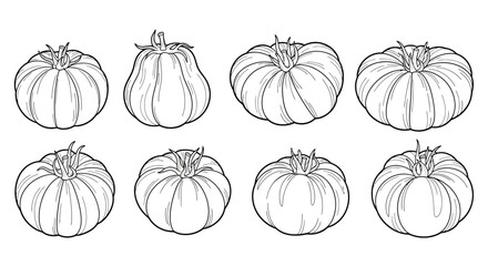 Collection of hand drawn pumpkins and gourds in black and white outline
