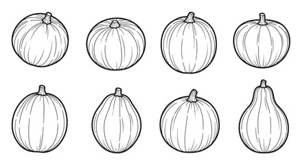 Collection of hand drawn squash and gourd varieties in sketch style