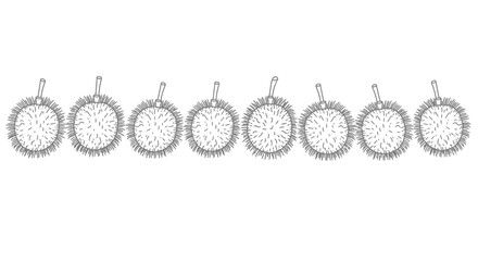 Collection of ornate oval framed antique botanical illustrations in a row