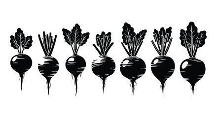 Black and white illustration of fresh root vegetables with green leaves