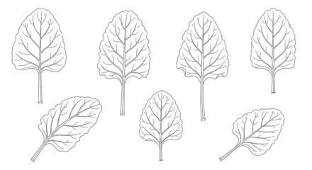 Collection of hand drawn leaf illustrations in black and white outline style