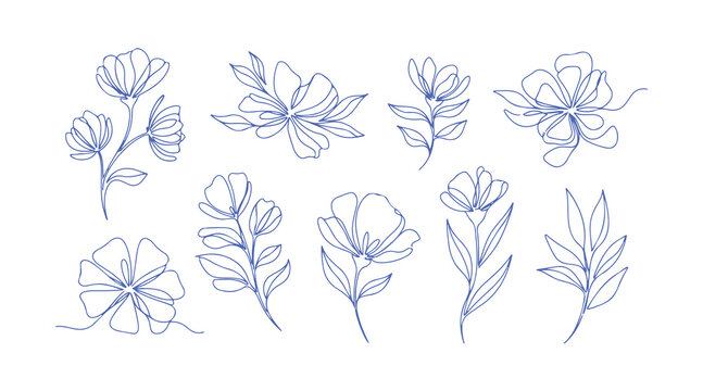 A set of abstract floral and branch illustrations made with a single line. Floral sketch. Ongoing line drawing of botanical art. Decorative elements for invitations and certificate designs. Vector 