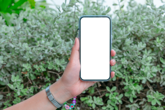Woman or girl holding phone blank outdoor on a white wall. Phone mockup