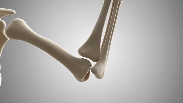 A high-end 3D hyper-realistic animation of the human elbow joint bending and extending. Precise bone articulation, soft shadows, neutral white gradient backdrop. Ultra-detailed bone surfaces, medicall