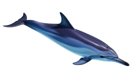 Isolated Spinner Dolphin Swimming, Marine Mammal, Sea Life, Aquatic, Animal Wildlife