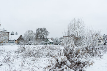 Wide view of a quiet suburban area blanketed in fresh snow. Bare trees, rooftops, and bushes form a soft minimalist scene, evoking calm winter atmosphere ideal for holiday, seasonal, and lifestyle the