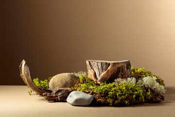 Composition with natural wooden snags and moss for advertising eco products.