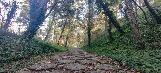 Sendero de piedra bajo las copas de &aacute;rboles en un bosque o parque durante el atardecer en Burgos, Espa&ntilde;a