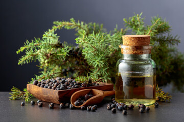 Juniper berry essential oil and branches with berries.