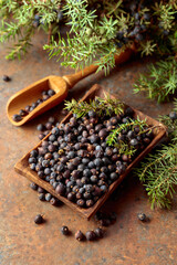 Juniper berries in wooden dish and green branches.