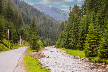 Landscape - nature, view of mountains covered with green coniferous forests