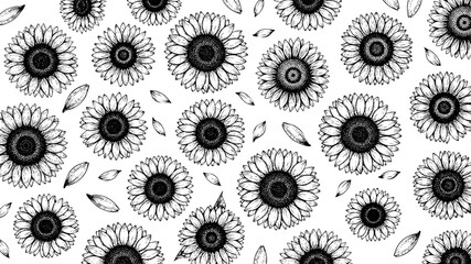 Wooden Engraving Sunflower in White Background