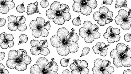 Wooden Engraving Hibiscus in White Background