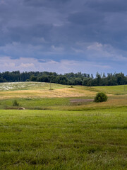 Fototapeta premium Summer landscapes with meadows and clouds in Latgale.