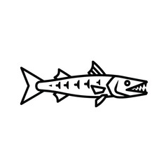 Barracuda line art isolated on simple black and white illustration of a predatory fish