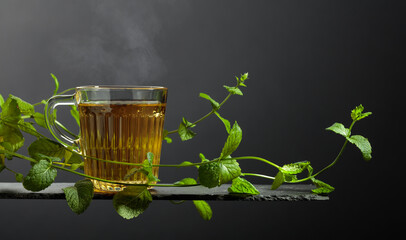 Naklejka premium Cup of mint tea and fresh mint sprigs.