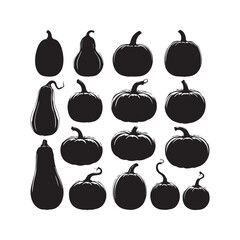Pumpkin and Squash Silhouette Vector Set