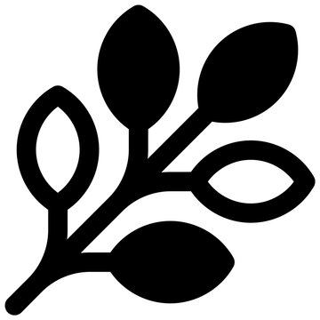 Moringa. Outlined stroke vector icon with black-filled details.