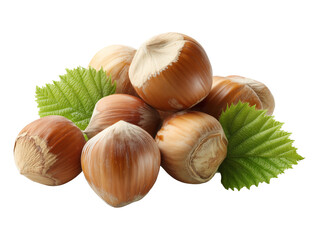 Fresh Hazelnuts on Transparent Background