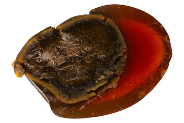 Peeled century eggs on a white background