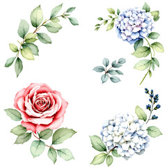 Wild flowers set, watercolor digital illustration.	