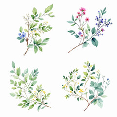 Floral elements set of flower vector design patterns with leaves and butterfly decoration for spring nature card illustration border