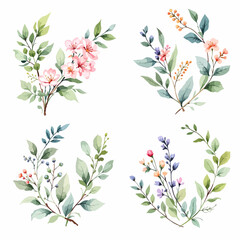 Set flowers and butterflies watercolor