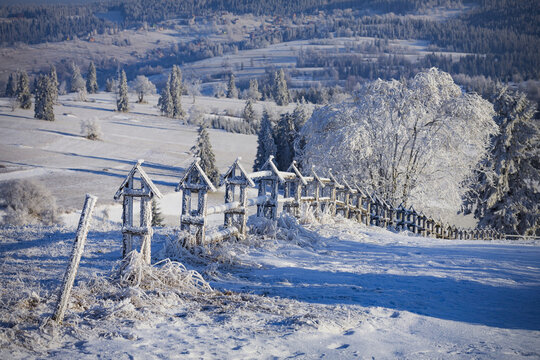 Winter on the meadow under the Tatra Mountains. Poland