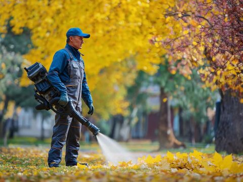 Autumn Breeze: A dedicated worker expertly wields a powerful leaf blower to clear vibrant fallen leaves on a sunny day. Capturing the spirit of autumn and the essence of diligent work.