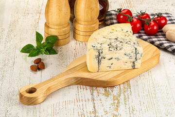 Gourmet blue cheese with mold